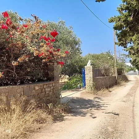 Blue And White Paros Private House Holiday home